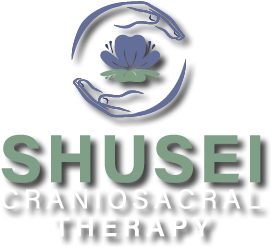 Shusei Logo For Coming Soon Page
